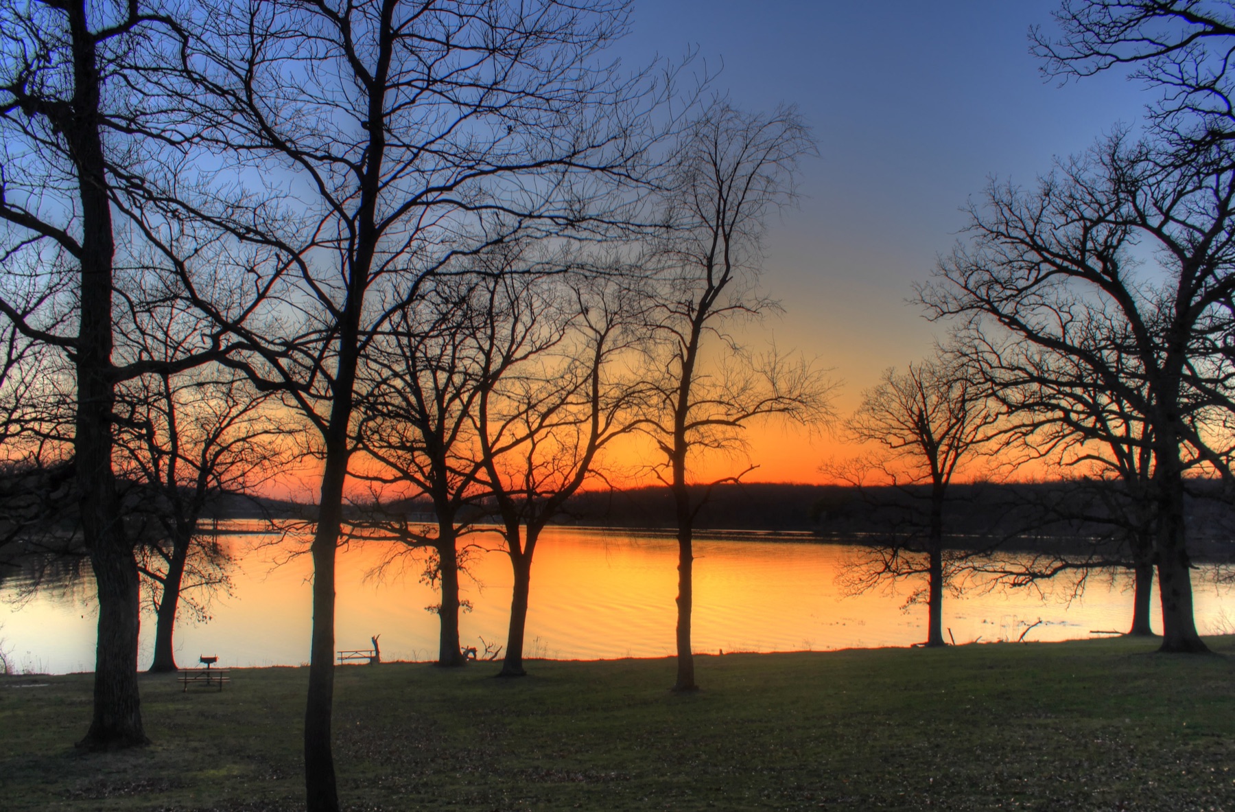 Trees beside the lake at sunset in Rock Cut State Park, Illinois